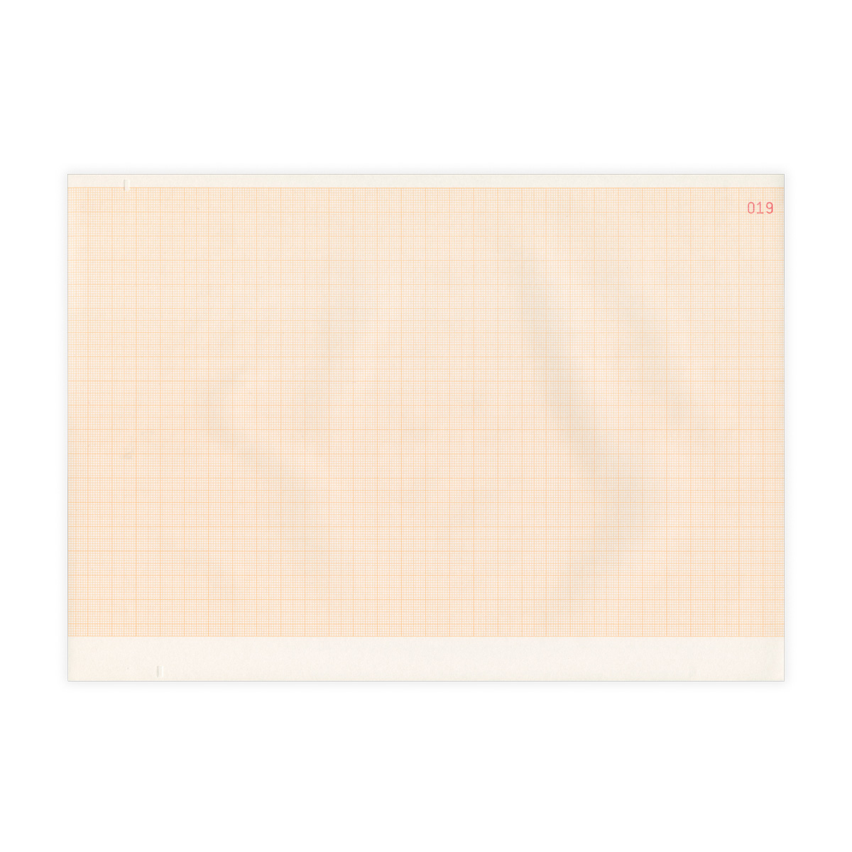 Papier EEG do Schwarzer, 300 x 210 mm, 1000 kartek, 1 szt.