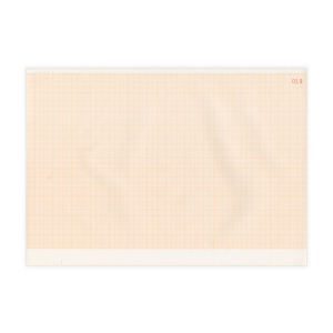 Papier EEG do Schwarzer, 300 x 210 mm, 1000 kartek, 1 szt.