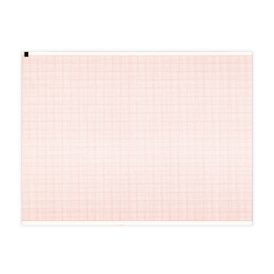 Papier EKG do Schiller AT-2 / CS-200, 210 x 280 mm, 240 kartek, 1 szt.