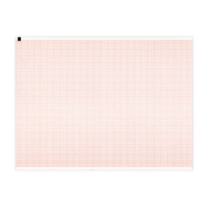 Papier EKG do Schiller AT-2, 210 x 280 mm, 215 kartek, 1 szt.